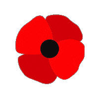 Remember Remembrance Day Sticker by Lloyds Banking Group