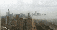 Fog GIF