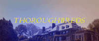 title card GIF by Thoroughbreds