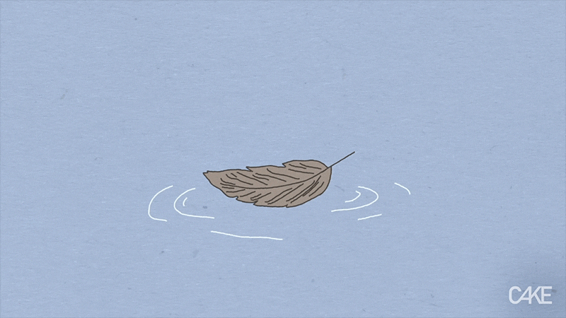 Animation GIF by Cake FX