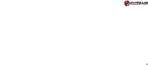 Car Tuning Sticker by RH Módulos