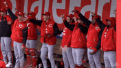 Celebration Baseball GIF by Cincinnati Reds