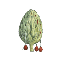 Verde Veggie Sticker