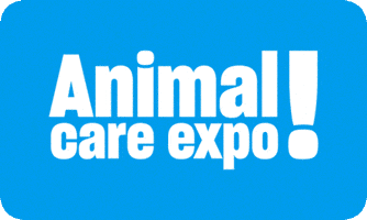 Expo Color Block GIF by Humane World for Animals