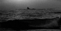 akira kurosawa sunset GIF by Maudit