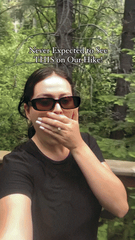 cuteanimalland giphyupload GIF