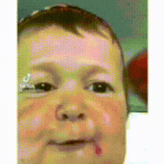 Fruit Foodie GIF