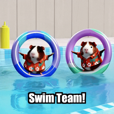 Guinea Pig Swimming GIF by Guinea Gambino