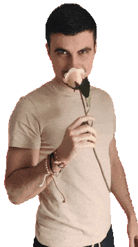 Happy Birthday Flower Sticker by Curious Pavel