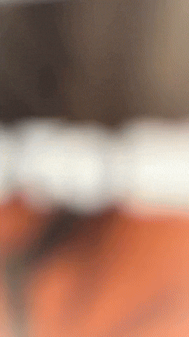 Baldursgate3 GIF by Youtooz