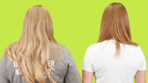 Mean Girls No GIF by StickerGiant