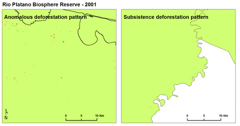 bethtellman giphyupload GIF
