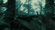 Twilight Saga GIF by Prime Video Comedy