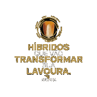 Hibridos Que Vao Transformar Sua Lavoura Sticker by Sempre Agtech