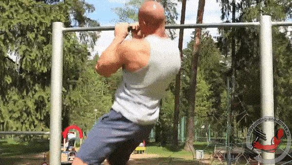 bodybuilding-and-fitness giphyupload GIF