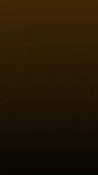 Pupaxv_ n2n2 GIF