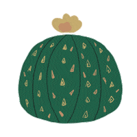 Plants Cactus Sticker by Plante Budapest