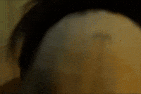 Animation Create GIF by Alex Boya