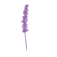 Lavender Sticker by BABY FACE