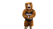 Mascot Pembroke Sticker by UNCP Braves Athletics