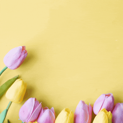 Gdp Frauentag GIF by GdP-Bezirk Bundespolizei |  Zoll