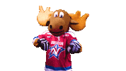 Drive By Hello Sticker by Newcastle Northstars