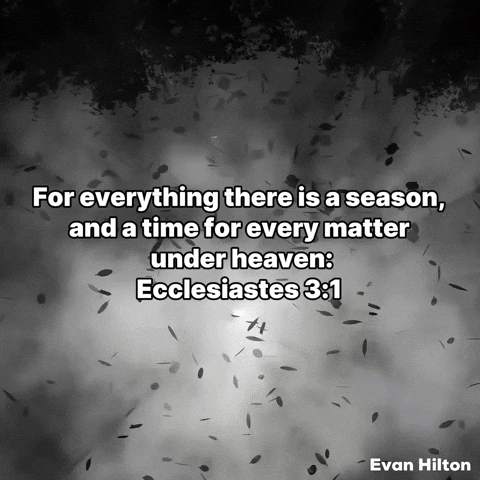 Bible Verses GIF by Evan Hilton