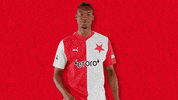 Football Soccer GIF by SK Slavia Praha