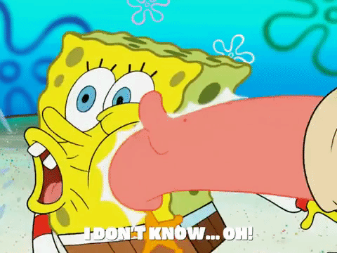 season 5 GIF by SpongeBob SquarePants