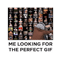 Searching Gif Sticker