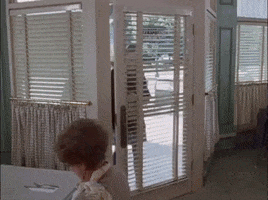 season 1 netflix GIF by Gilmore Girls 