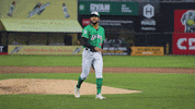 Baseball Clap GIF by St. Paul Saints