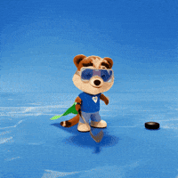 Ice Hockey GIF by TIMOCOM