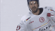 Hockey Hear GIF by Düsseldorfer EG