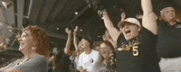 College World Series Baseball GIF by NCAA Championships