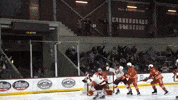Ice Hockey Celebration GIF by Norwich University