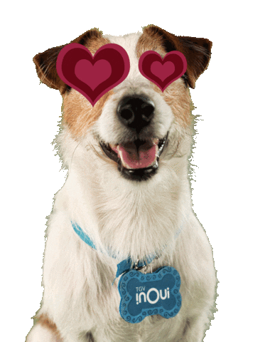 dog puppy Sticker