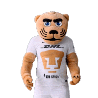 Happy Soccer Sticker by Pumas MX