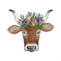 sennalpe_breitengehren kuh allgäu oberstdorf Alpe Sticker