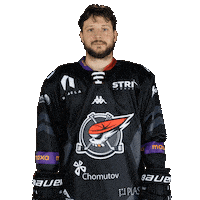 Baby Sticker by Piráti Chomutov