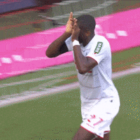 1 Fc Cologne Football GIF by 1. FC Köln