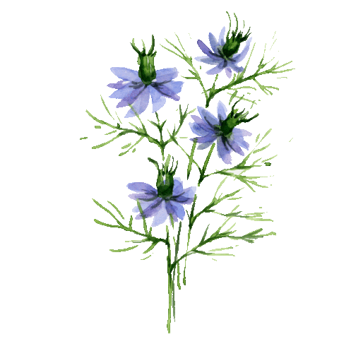 Flower Sticker by compo