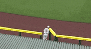 Notre Dame Baseball GIF by NCAA Championships