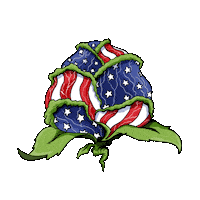 Sticker Freedom Sticker