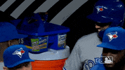 Major League Baseball Sport GIF by MLB