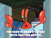 season 5 GIF by SpongeBob SquarePants