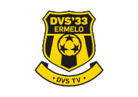 Dvs33 Dvs-Tv Sticker by DVS'33 Ermelo