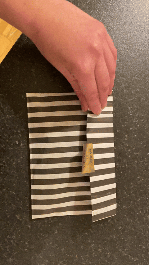 KinkyTiger giphyupload GIF