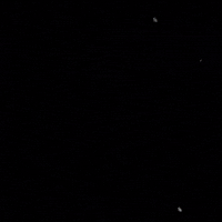 Free Fire GIF