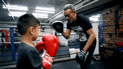 Boxing GIF